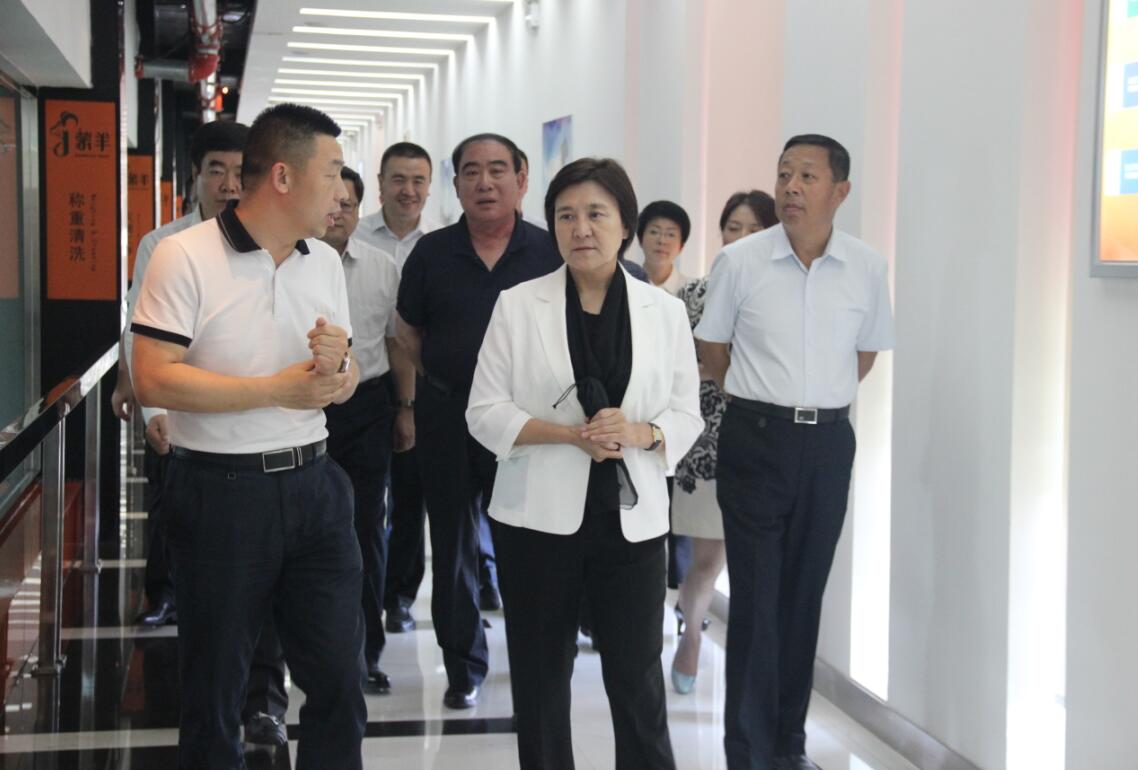 自治區(qū)黨委副書記、自治區(qū)主席布小林蒞臨協(xié)會會長單位——蒙羊牧業(yè)公司視察調(diào)研