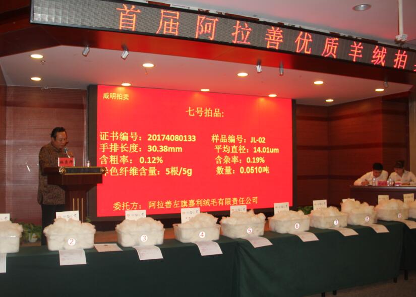 創(chuàng)新引領未來，品質鑄就輝煌 首屆阿拉善優(yōu)質羊絨拍賣會盛大舉行