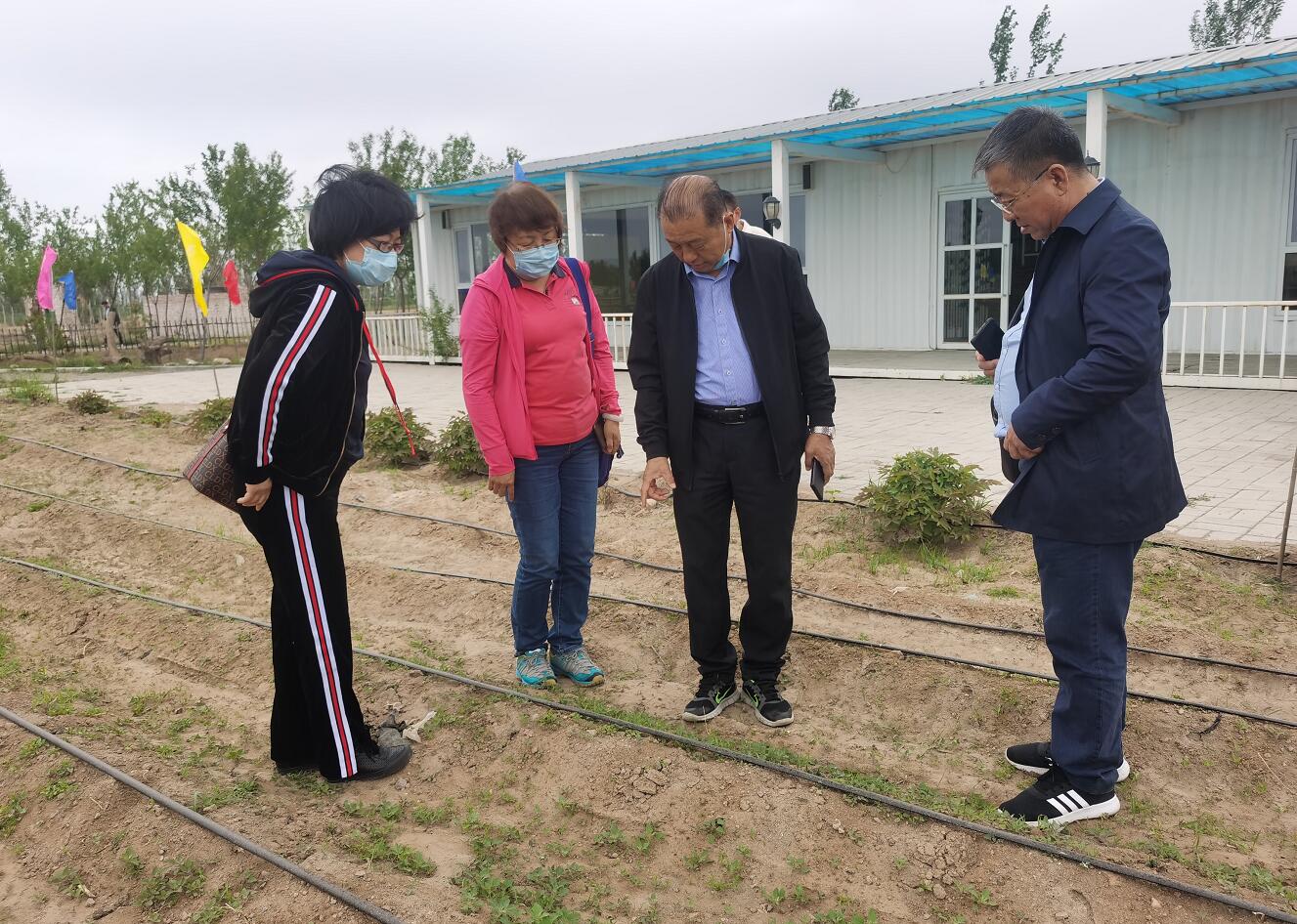 林永亮執(zhí)行會長到國豆公司考察調研